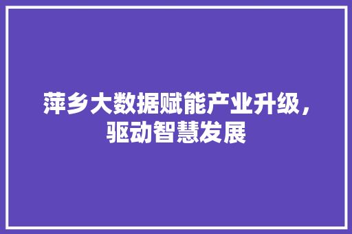 萍乡大数据赋能产业升级，驱动智慧发展