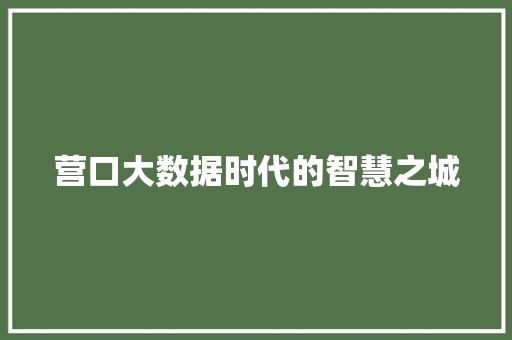 营口大数据时代的智慧之城 SEO教程