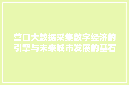 营口大数据采集数字经济的引擎与未来城市发展的基石