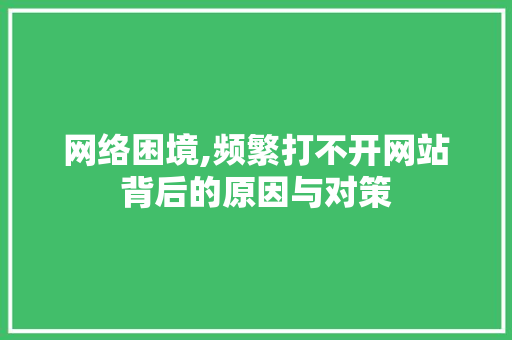 网络困境,频繁打不开网站背后的原因与对策
