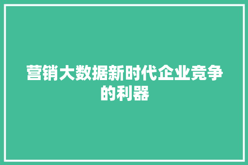 营销大数据新时代企业竞争的利器 WordPress教程