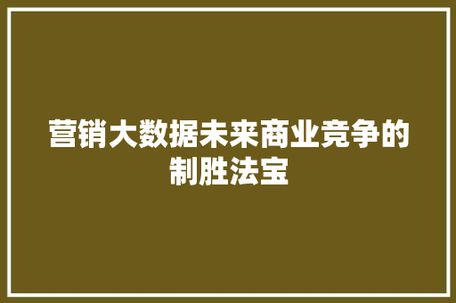 营销大数据未来商业竞争的制胜法宝