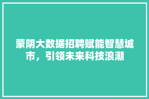 蒙阴大数据招聘赋能智慧城市，引领未来科技浪潮