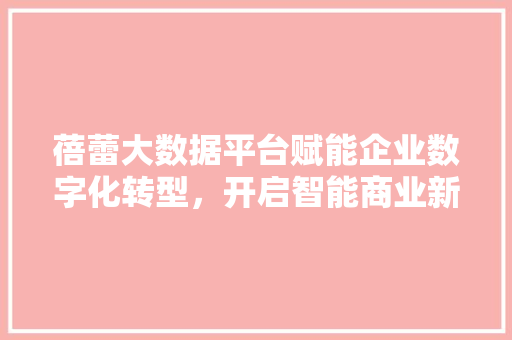 蓓蕾大数据平台赋能企业数字化转型，开启智能商业新篇章