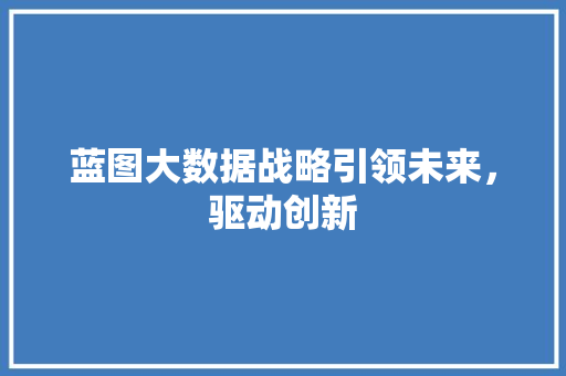 蓝图大数据战略引领未来，驱动创新