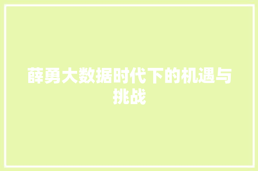 薛勇大数据时代下的机遇与挑战