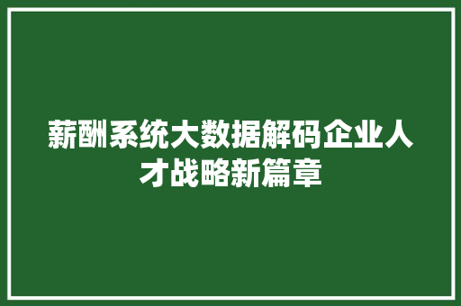 薪酬系统大数据解码企业人才战略新篇章
