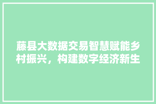 藤县大数据交易智慧赋能乡村振兴，构建数字经济新生态