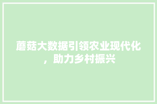 蘑菇大数据引领农业现代化，助力乡村振兴