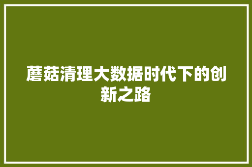 蘑菇清理大数据时代下的创新之路