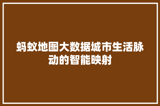 蚂蚁地图大数据城市生活脉动的智能映射