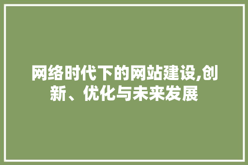 网络时代下的网站建设,创新、优化与未来发展