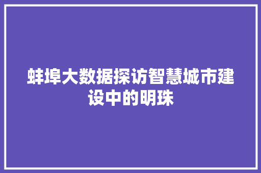 蚌埠大数据探访智慧城市建设中的明珠