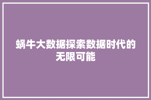 蜗牛大数据探索数据时代的无限可能