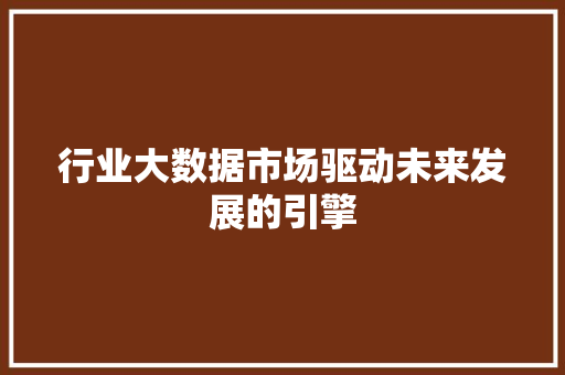 行业大数据市场驱动未来发展的引擎