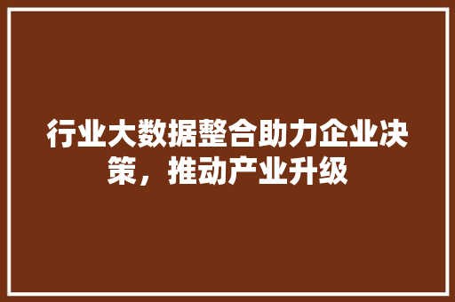 行业大数据整合助力企业决策，推动产业升级