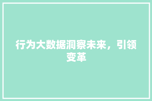 行为大数据洞察未来，引领变革