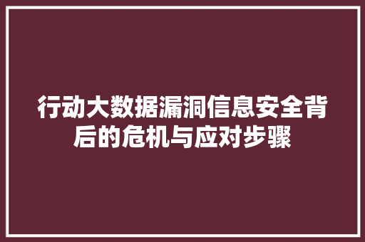 行动大数据漏洞信息安全背后的危机与应对步骤