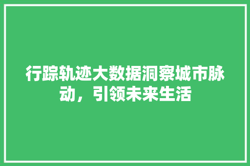 行踪轨迹大数据洞察城市脉动，引领未来生活