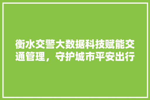 衡水交警大数据科技赋能交通管理，守护城市平安出行