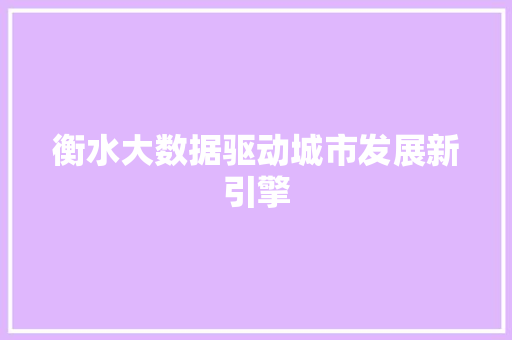 衡水大数据驱动城市发展新引擎