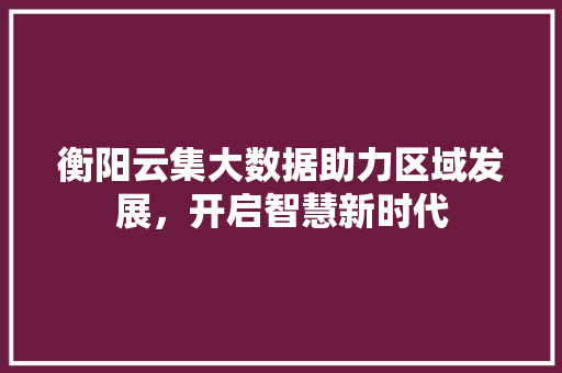 衡阳云集大数据助力区域发展，开启智慧新时代