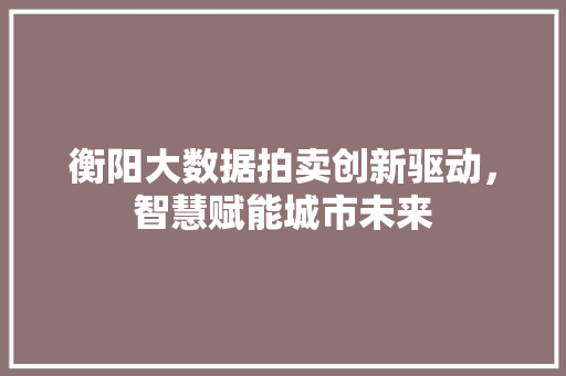 衡阳大数据拍卖创新驱动，智慧赋能城市未来