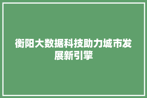 衡阳大数据科技助力城市发展新引擎