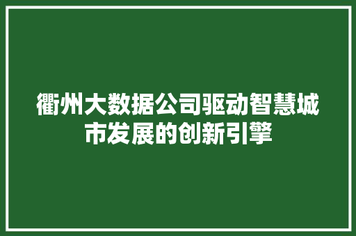 衢州大数据公司驱动智慧城市发展的创新引擎