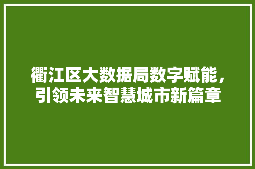 衢江区大数据局数字赋能，引领未来智慧城市新篇章