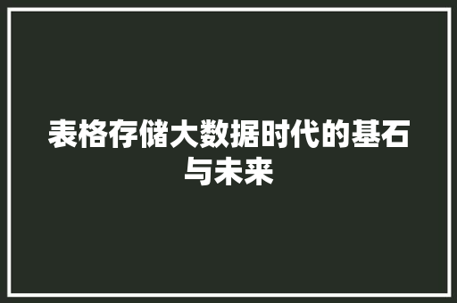 表格存储大数据时代的基石与未来
