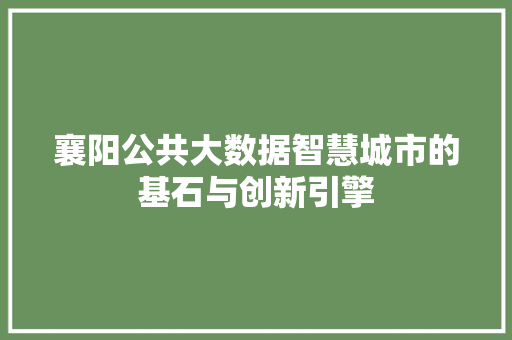 襄阳公共大数据智慧城市的基石与创新引擎