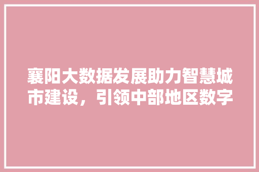 襄阳大数据发展助力智慧城市建设，引领中部地区数字经济新篇章
