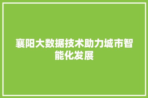 襄阳大数据技术助力城市智能化发展