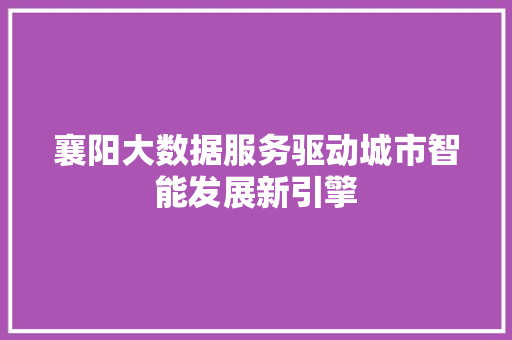 襄阳大数据服务驱动城市智能发展新引擎