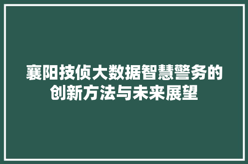 襄阳技侦大数据智慧警务的创新方法与未来展望