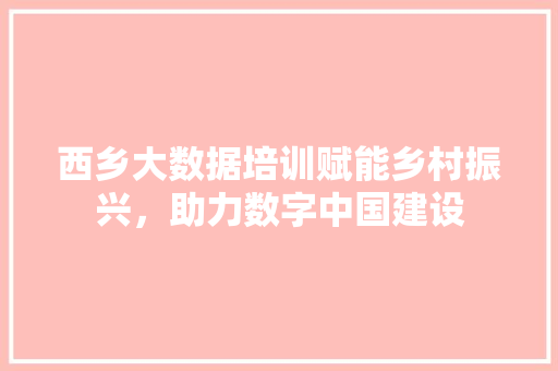 西乡大数据培训赋能乡村振兴，助力数字中国建设