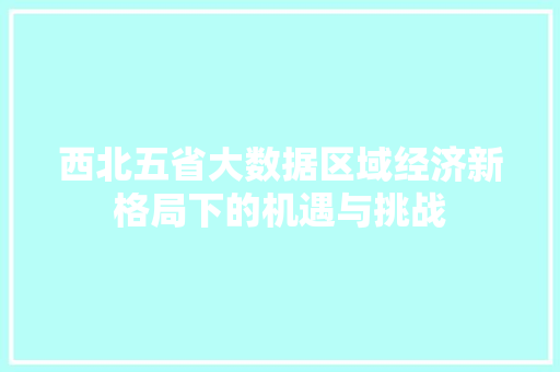 西北五省大数据区域经济新格局下的机遇与挑战