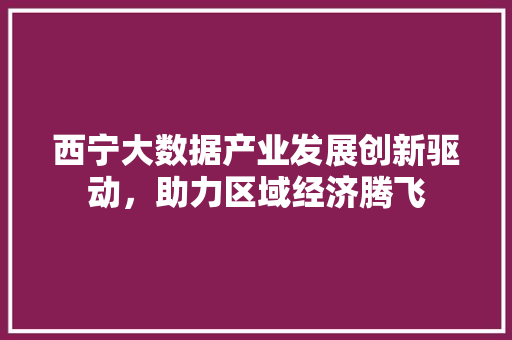 西宁大数据产业发展创新驱动，助力区域经济腾飞