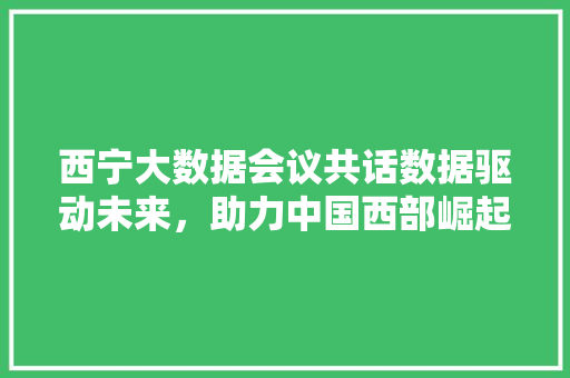 西宁大数据会议共话数据驱动未来，助力中国西部崛起