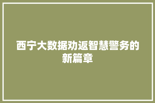 西宁大数据劝返智慧警务的新篇章