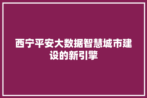 西宁平安大数据智慧城市建设的新引擎