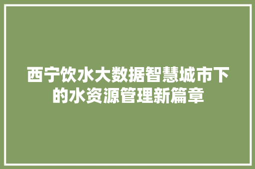 西宁饮水大数据智慧城市下的水资源管理新篇章