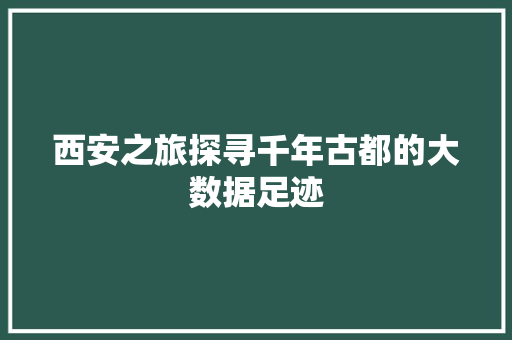 西安之旅探寻千年古都的大数据足迹
