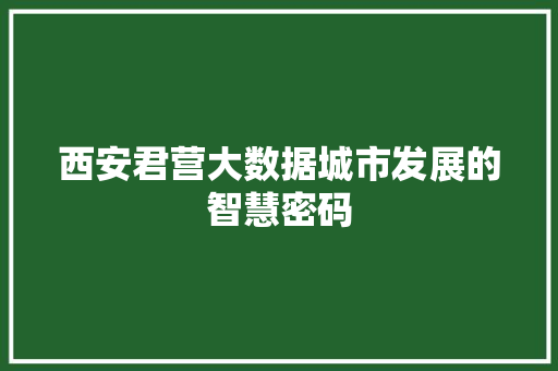 西安君营大数据城市发展的智慧密码