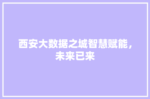 西安大数据之城智慧赋能，未来已来