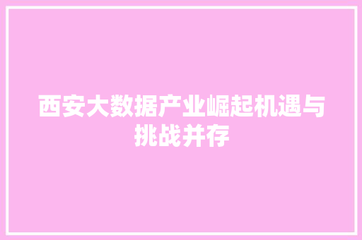 西安大数据产业崛起机遇与挑战并存
