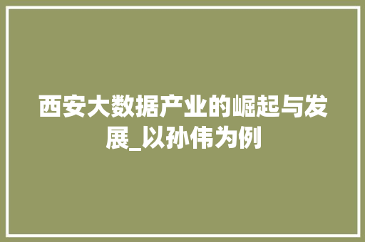 西安大数据产业的崛起与发展_以孙伟为例