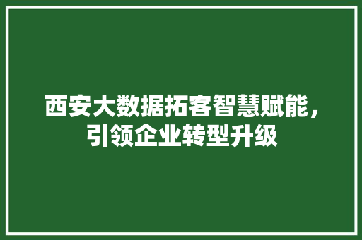 西安大数据拓客智慧赋能，引领企业转型升级