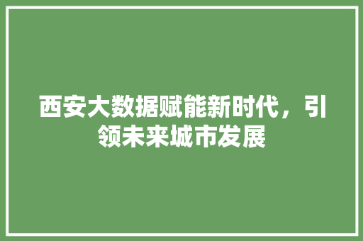 西安大数据赋能新时代，引领未来城市发展